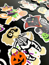 Load image into Gallery viewer, Trick of Treat Pets Magnets
