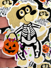 Load image into Gallery viewer, Trick of Treat Pets Magnets
